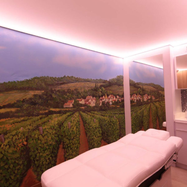 Hotel Le Cep Beaune Bourgogne_spa_salle de massage