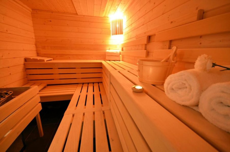 sauna holiday inn dijon