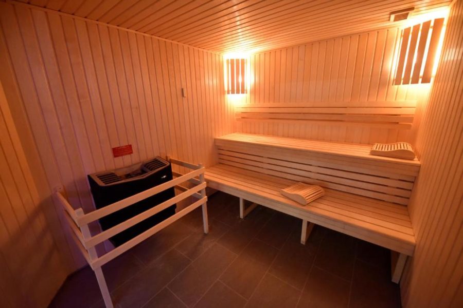 sauna hotel spa Dijon