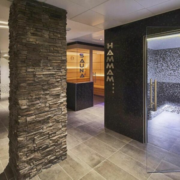 Equipement Spa Kyriad prestige Lyon Est (1)