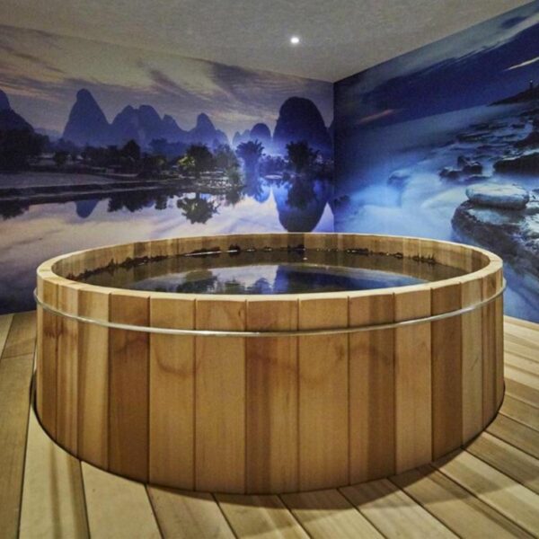 Equipement Spa Kyriad prestige Lyon Est (2)