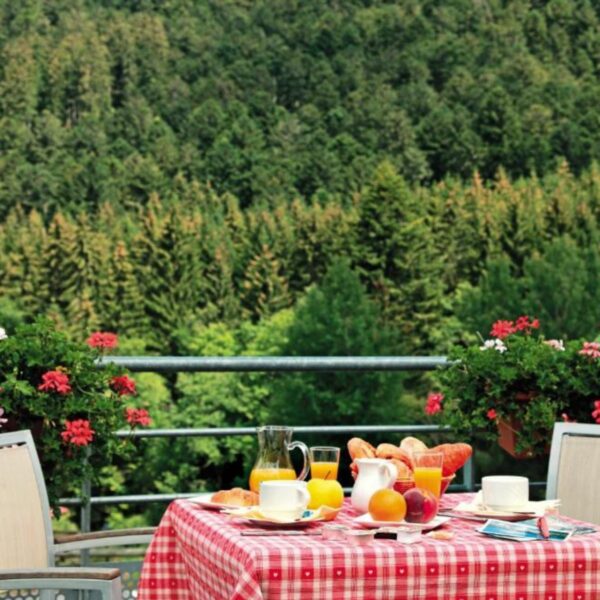 Petit Déjeuner avec vue Le Vétiné