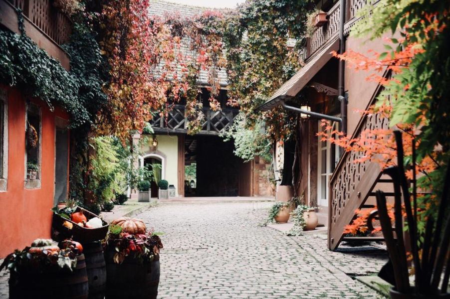 Pêche de Vigne & Spa