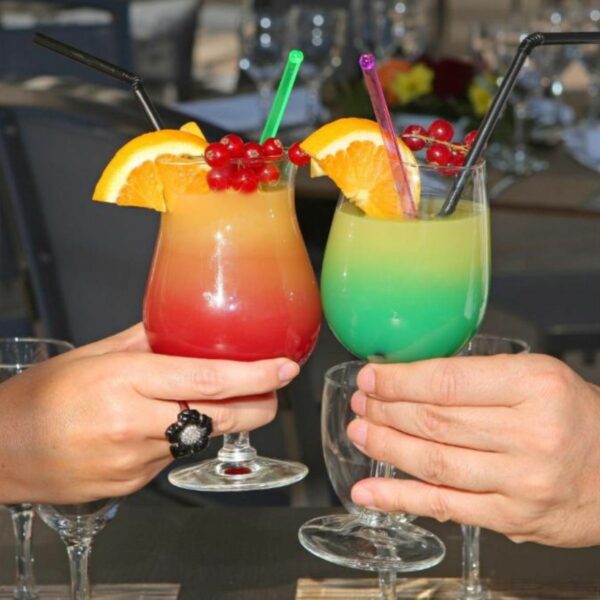 Bar Hotel Plaza - site du Futuroscope (3)